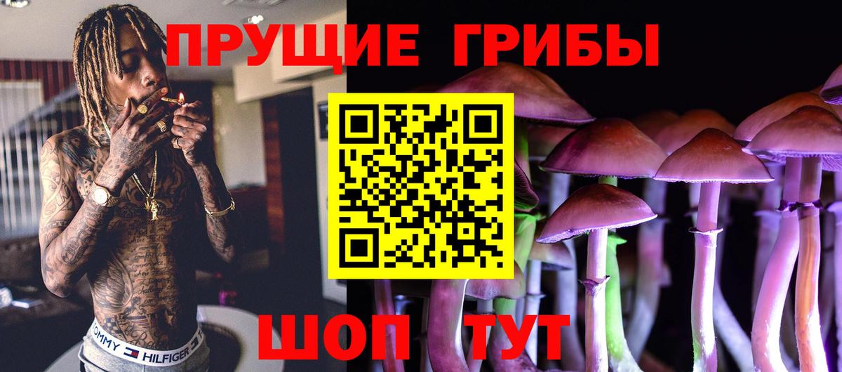 Псилоцибиновые грибы мицелий Новоуральск